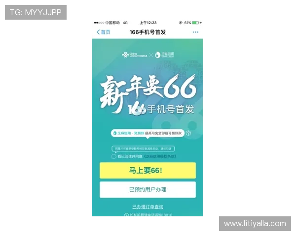 尊龙会官网会员登录入口查询注意事项,确保登录信息安全与正确性