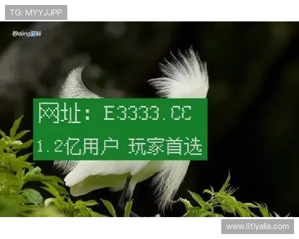 凯时官网网址官方平台介绍，全面解析官网功能与使用方法