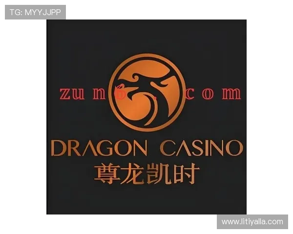 凯时的网址官方入口，确保用户快速便捷进入正规平台体验