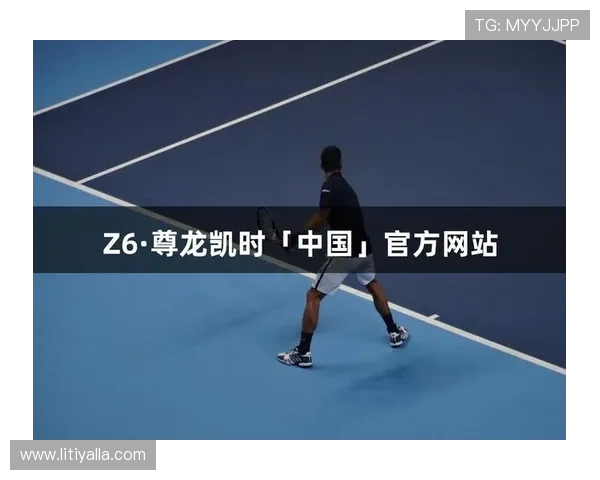 揭示尊龙凯时旗舰厅登录线路的独特功能与优势