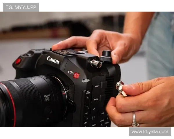 Z6尊龙真人平台注册流程详解及新手玩家入门指南 Z6尊龙真人平台注册流程详解及新手玩家入门指南