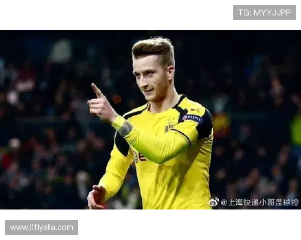 尊龙z6手机版用户评价与反馈,了解真实玩家的使用感受与建议优化方案 尊龙z6手机版用户评价与反馈,了解真实玩家的使用感受与建议优化方案