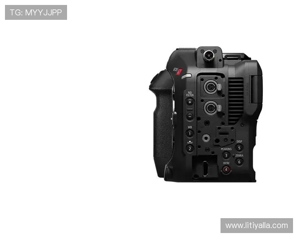 尊龙官网手机版支持多平台同步登录,轻松切换设备畅玩不停 尊龙官网手机版支持多平台同步登录,轻松切换设备畅玩不停